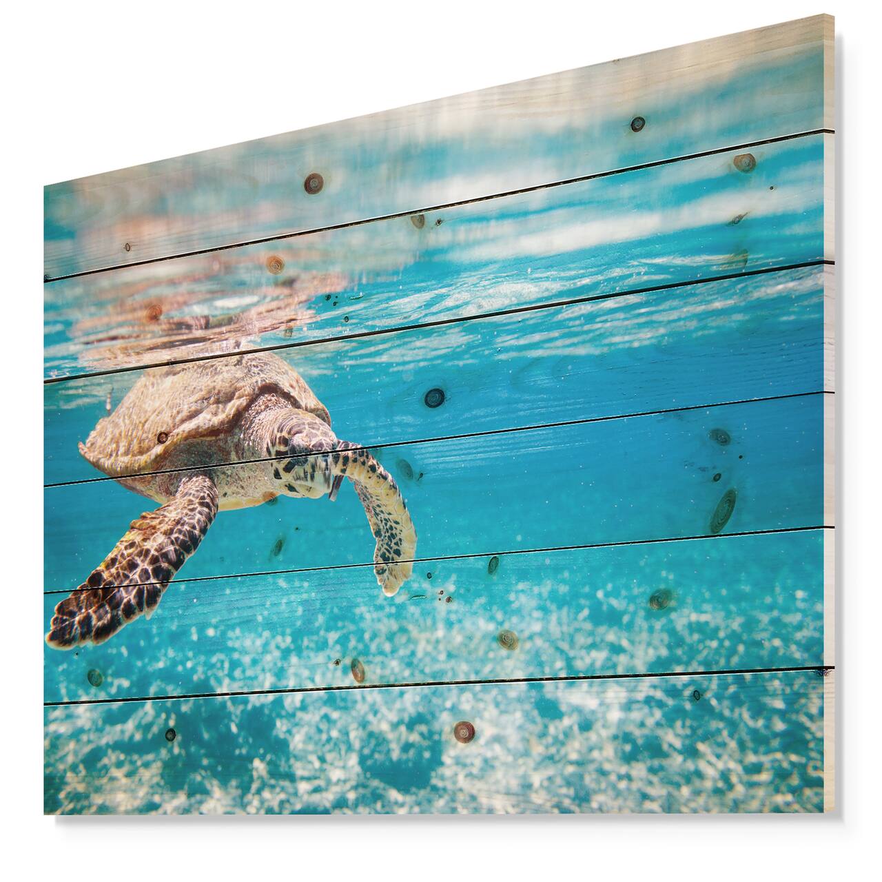 Designart - Large Hawksbill Sea Turtle - Abstract Print on Natural Pine Wood